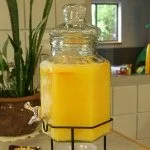 Orange Juice Punch for a Morning Brunch Shower
